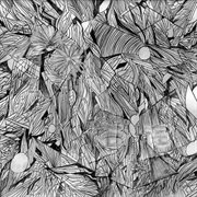 Obsidian butterfly cover image cdn