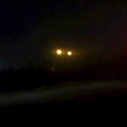 Oculto cover image cdn