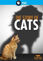 The story of cats cover image cdn