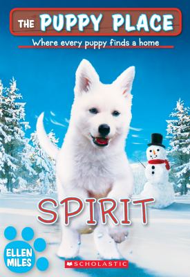 Spirit  cover image cdn