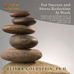 Mindful solutions for success and stress reduction at work cover image cdn