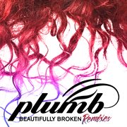 Beautifully broken cover image cdn