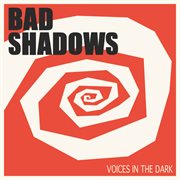 Voices in the dark cover image cdn