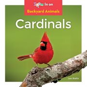 Cardinals cover image cdn