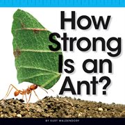How strong is an ant? cover image cdn