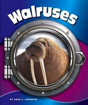 Walruses cover image cdn