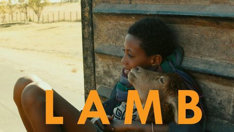 Lamb cover image cdn