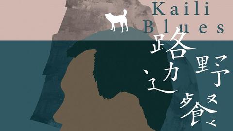 Kaili Blues Lu bian ye can cover image cdn