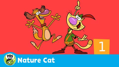 Nature Cat cover image cdn