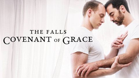 The Falls: Covenant of Grace cover image cdn