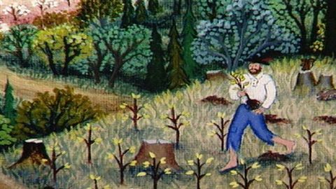 Johnny Appleseed cover image cdn