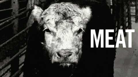 Meat cover image cdn