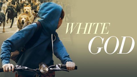 White God cover image cdn