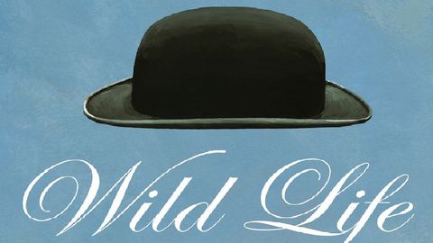 Wild Life cover image cdn