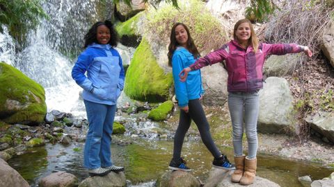 Flower Power cover image cdn