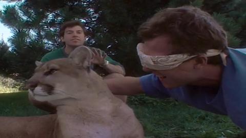 The How Show cover image cdn