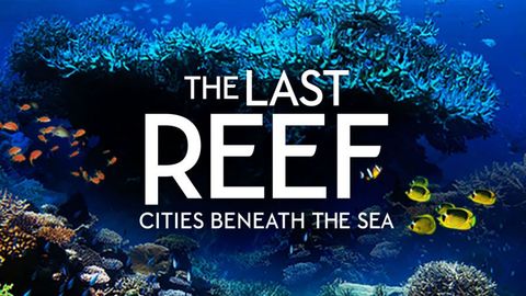 The Last Reef cover image cdn