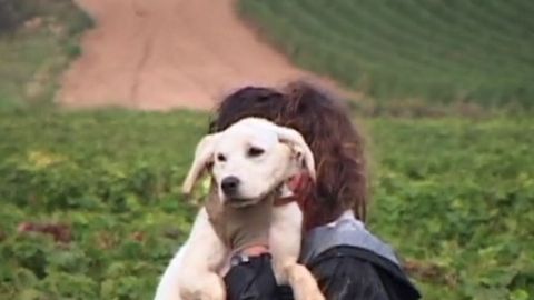 Quo Vademus cover image cdn