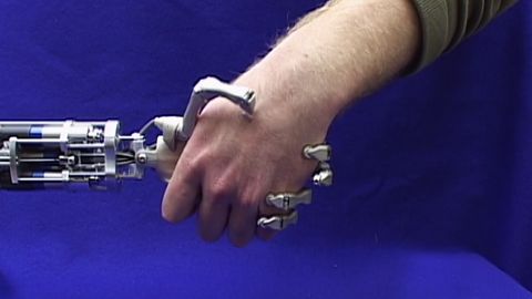 Out on a Limb cover image cdn