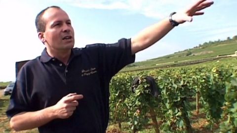 Magic Potion cover image cdn