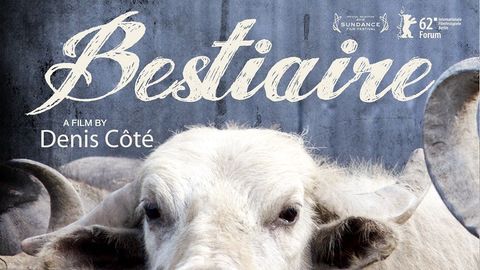Bestiaire cover image cdn