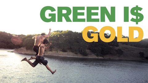 Green is Gold cover image cdn