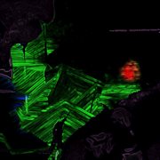 Iron_fetish cover image cdn