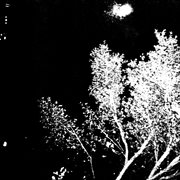 Soundtracks for invisibility, vol. iv: photo of a painting cover image cdn