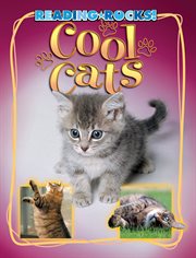 Cool cats cover image cdn
