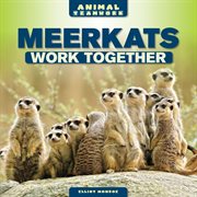 Meerkats work together cover image cdn