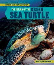 The return of the green sea turtle cover image cdn