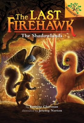 The Shadowlands  cover image cdn