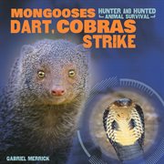 Mongooses dart, cobras strike cover image cdn