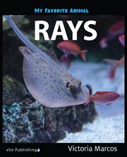 Rays cover image cdn