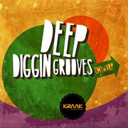 Deep diggin grooves cover image cdn