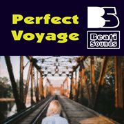 Perfect voyage cover image cdn