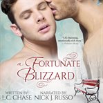 A fortunate blizzard cover image cdn