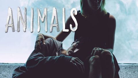 Animals cover image cdn