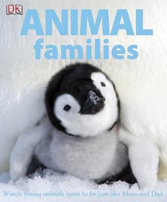 Animal families  cover image cdn