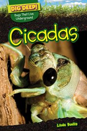Cicadas cover image cdn