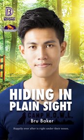 Hiding in plain sight cover image cdn