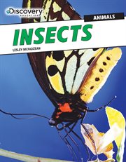Insects cover image cdn