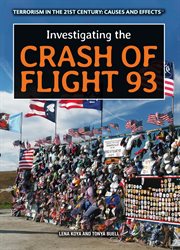 Investigating the crash of Flight 93 cover image cdn