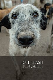 Off-leash cover image cdn