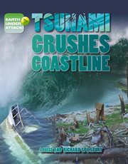 Tsunami crushes coastline cover image cdn
