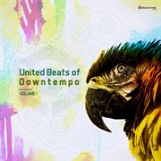 United beats of downtempo cover image cdn