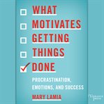 What motivates getting things done : procrastination, emotions, and success cover image cdn