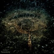 Cognitive bias, pt. 1: pareidolia cover image cdn