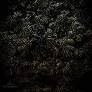 Cognitive bias, pt. 2: tachypsychia cover image cdn