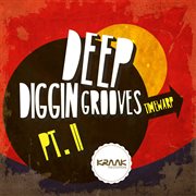 Deep diggin grooves, pt. ii cover image cdn